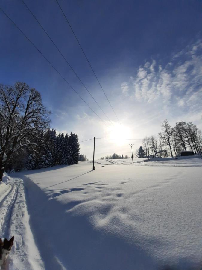 Apartmany Kořenov Exteriör bild